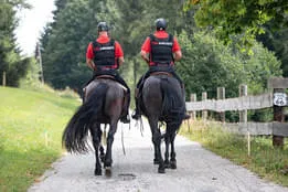 Referenzen Bild 50